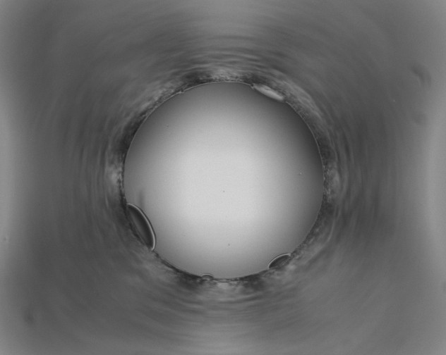 X0000115190329200911121827