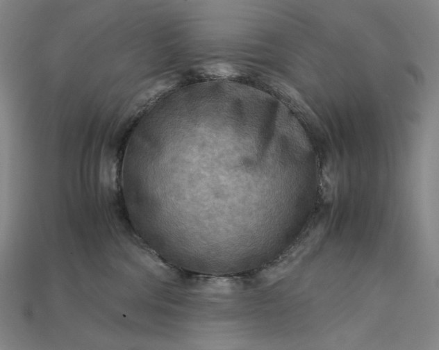 X0000115190330200911121827
