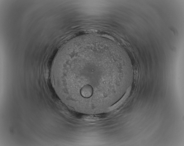 X0000115190331200911121827