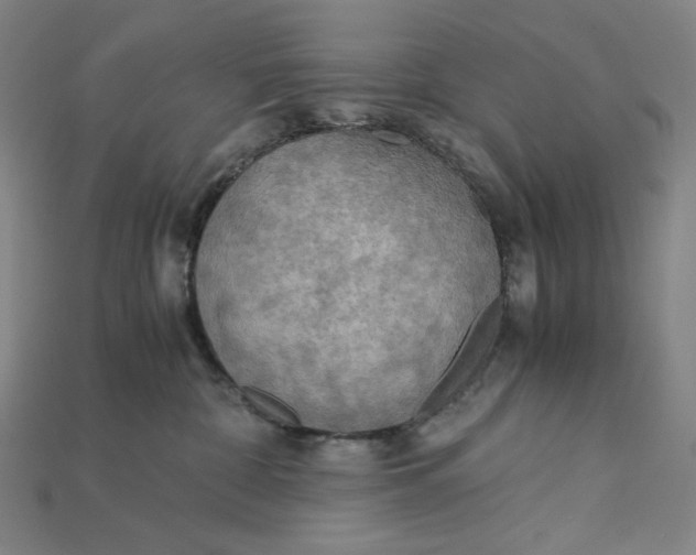 X0000115190332200911121827