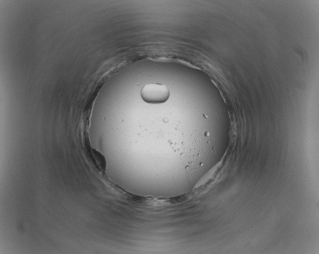 X0000115190333200911121827