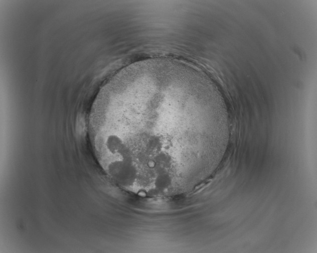 X0000115190335200911121827