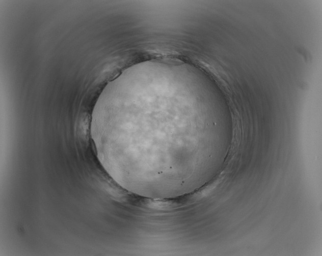 X0000115190336200911121827