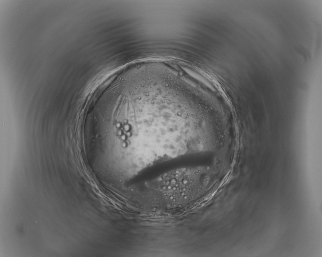 X0000115190337200911121826