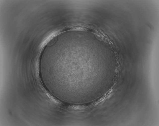 X0000115190341200911121826