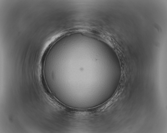 X0000115190342200911121826