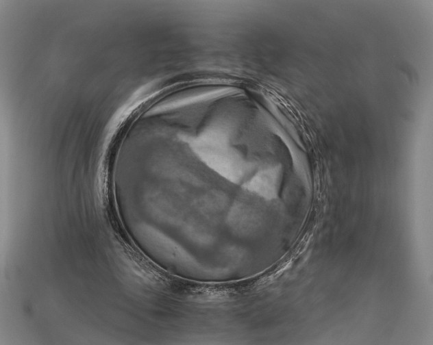 X0000115190343200911121826