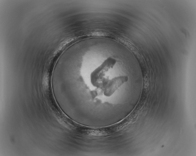 X0000115190347200911121826