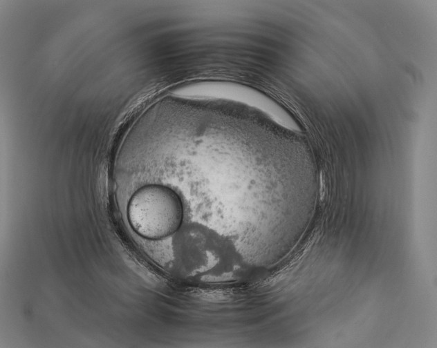 X0000115190349200911121826