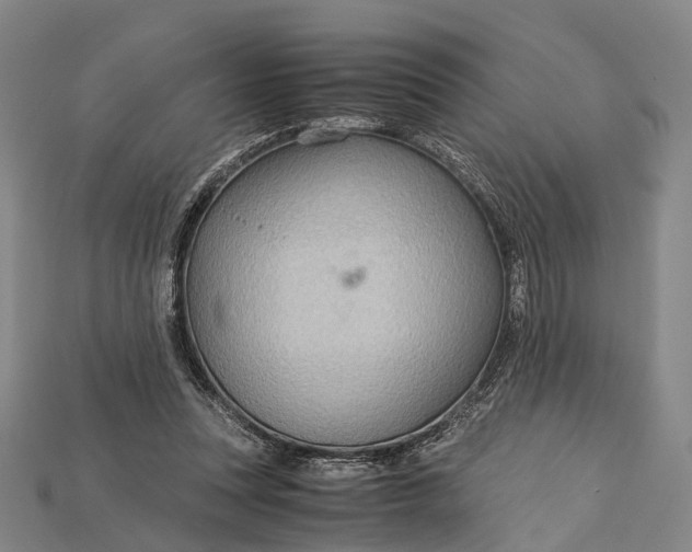 X0000115190351200911121826