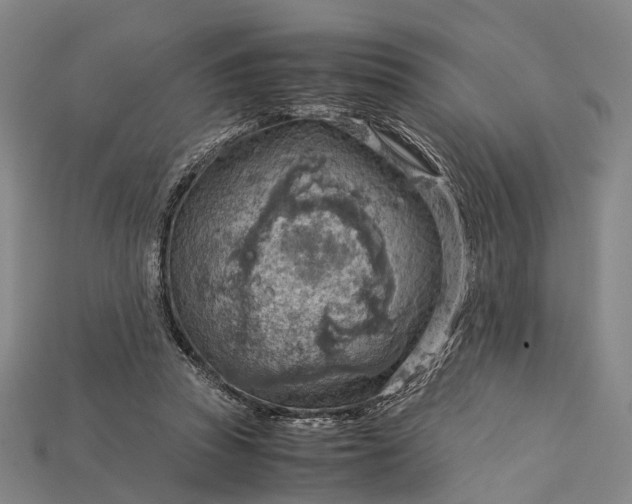 X0000115190353200911121826