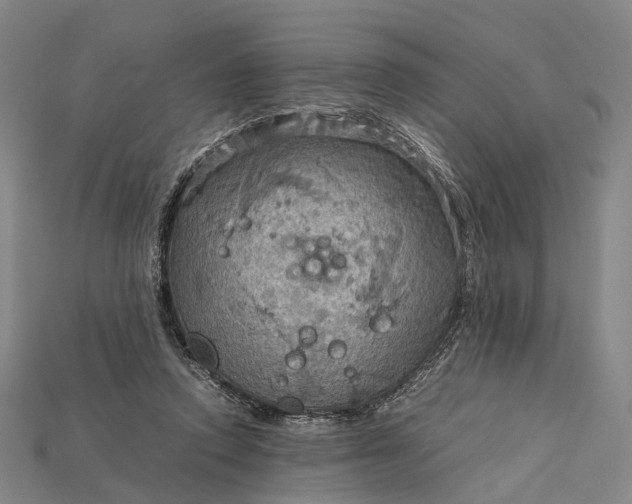 X0000115190354200911121826
