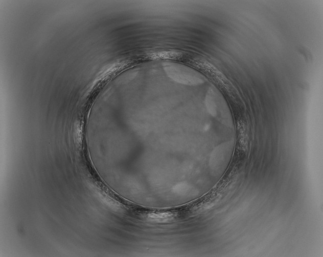 X0000115190357200911121826