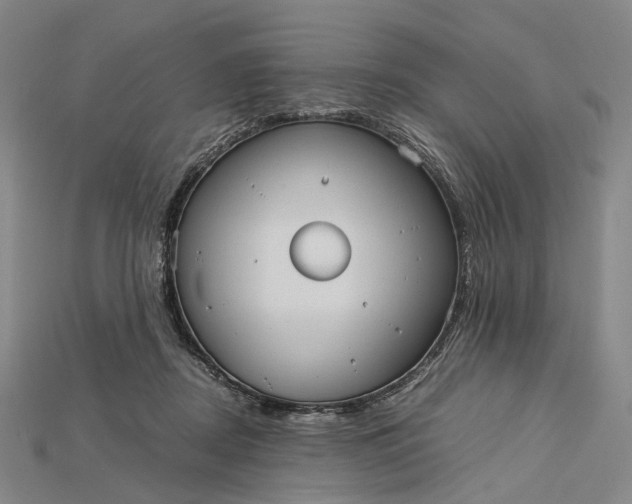 X0000115190362200911121826