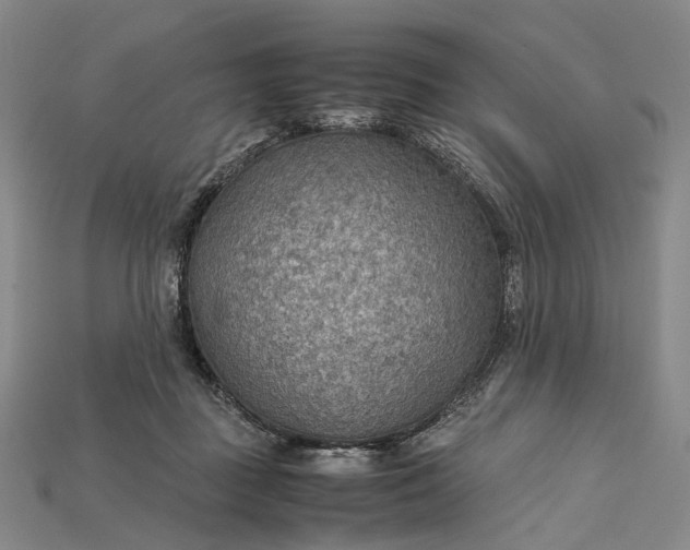 X0000115190363200911121826