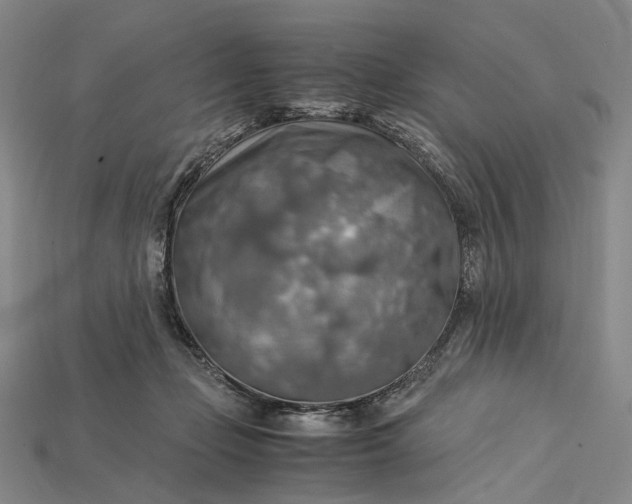 X0000115190365200911121826