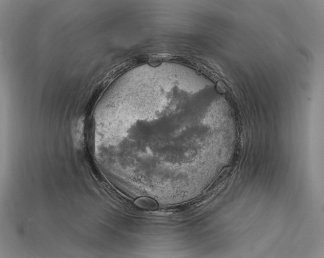 X0000115190366200911121826