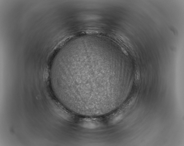 X0000115190367200911121826