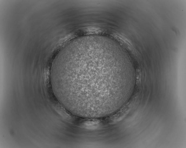 X0000115190369200911121826