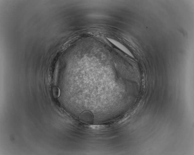 X0000115190371200911121826