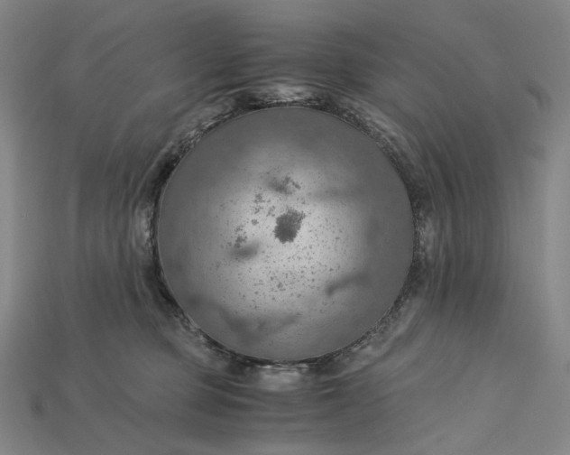 X0000115190373200911121826