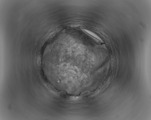X0000115190375200911121826