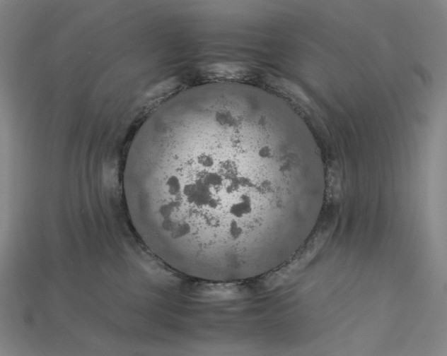 X0000115190377200911121826
