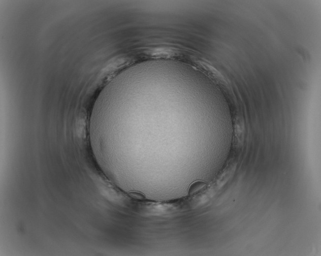 X0000115190379200911121827