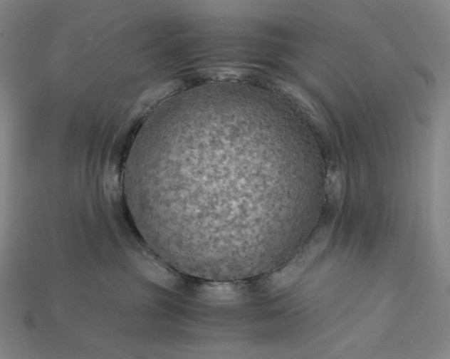 X0000115190381200911121827