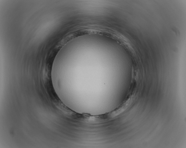 X0000115190382200911121827