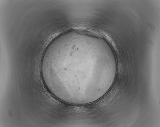 X0000115190385200911121826