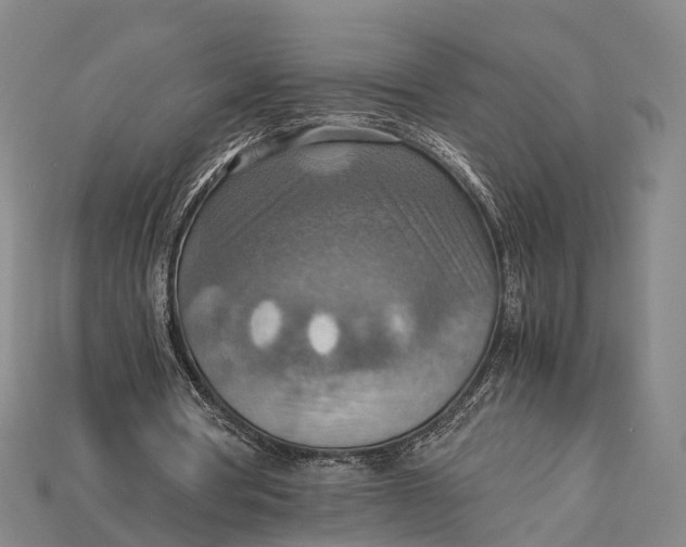 X0000115190386200911121826