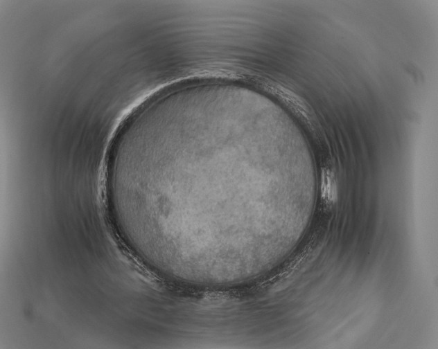 X0000115190388200911121826