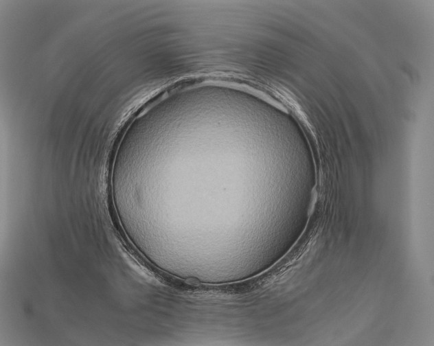 X0000115190389200911121826