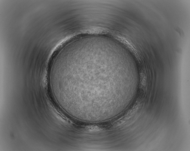 X0000115190392200911121826