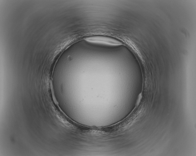 X0000115190393200911121826