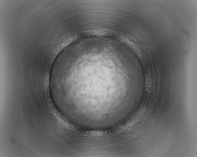 X0000115190394200911121826