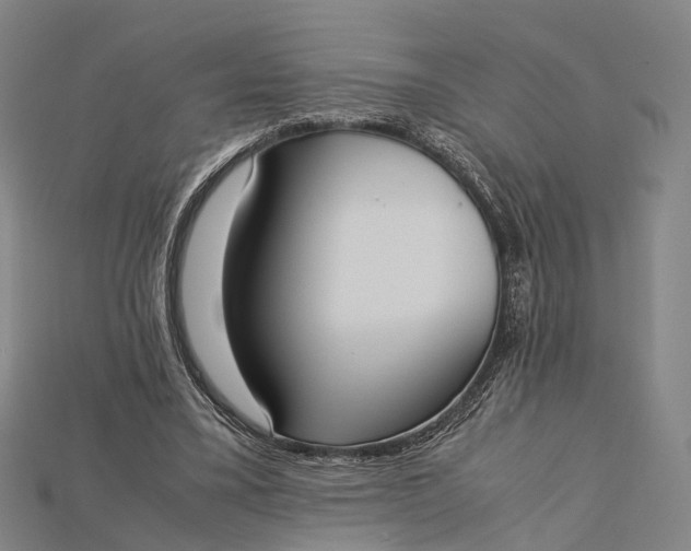 X0000115190395200911121826