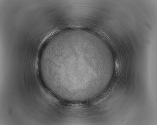 X0000115190396200911121826