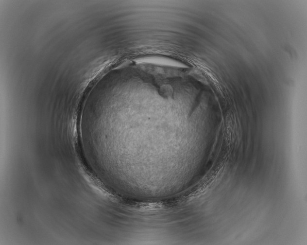 X0000115190398200911121826