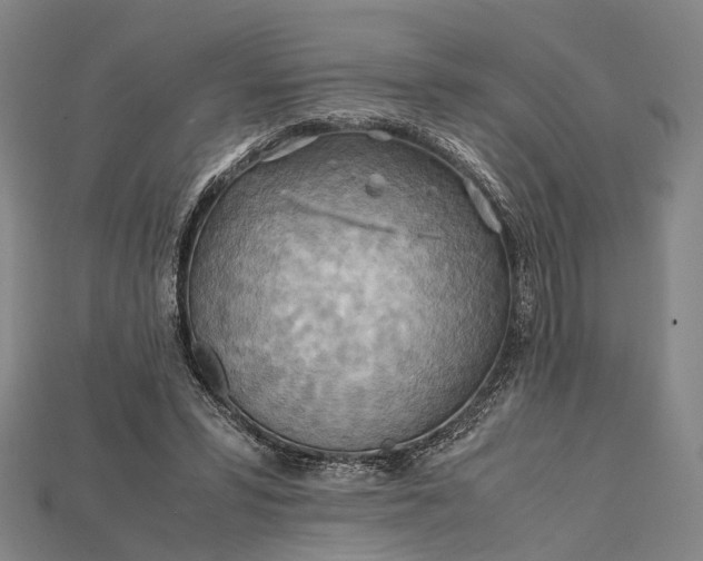 X0000115190399200911121826