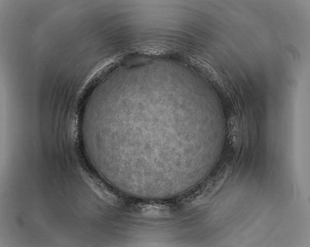 X0000115190400200911121826