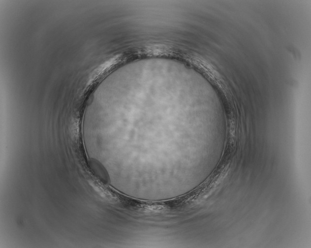 X0000115190401200911121826