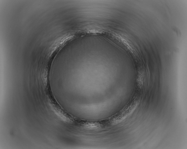 X0000115190402200911121826