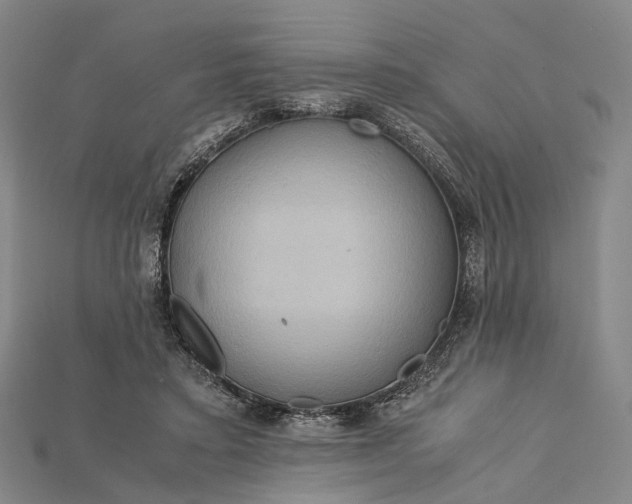 X0000115190403200911121826