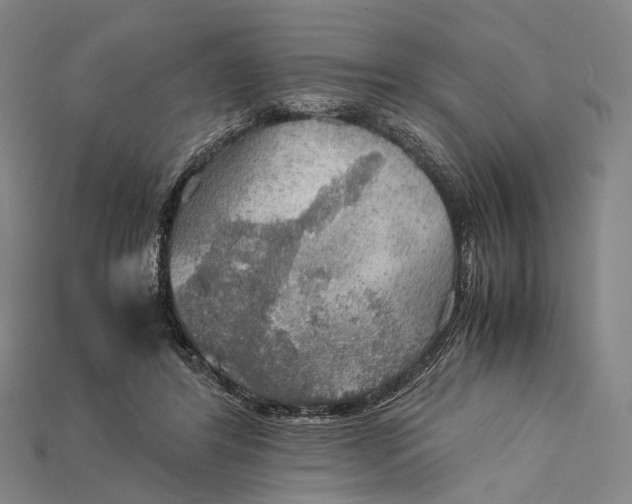 X0000115190404200911121826