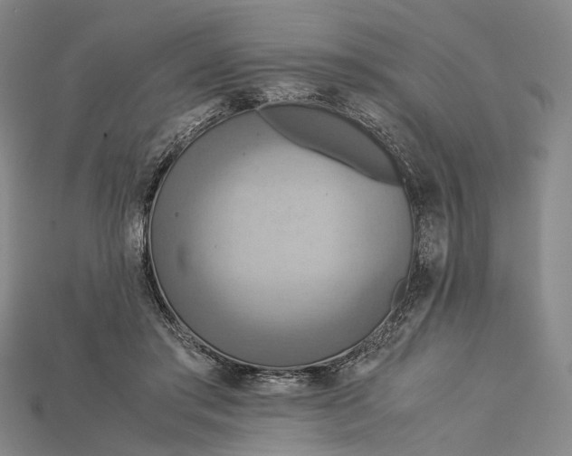 X0000115190405200911121826