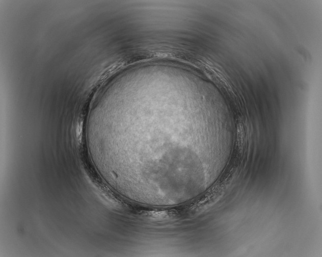 X0000115190406200911121826
