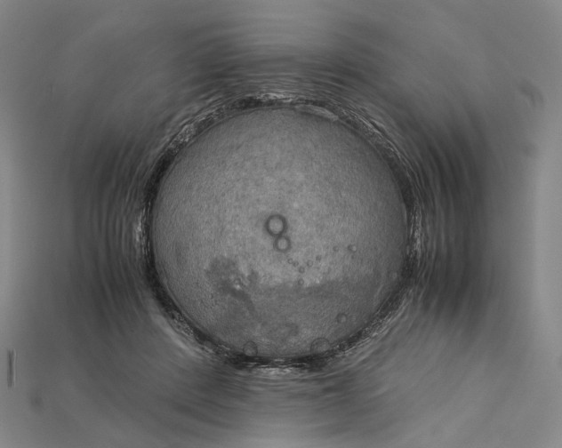 X0000115190408200911121826