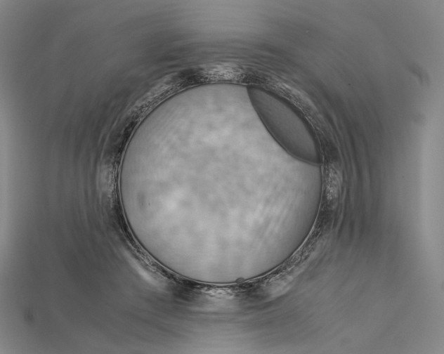 X0000115190409200911121826